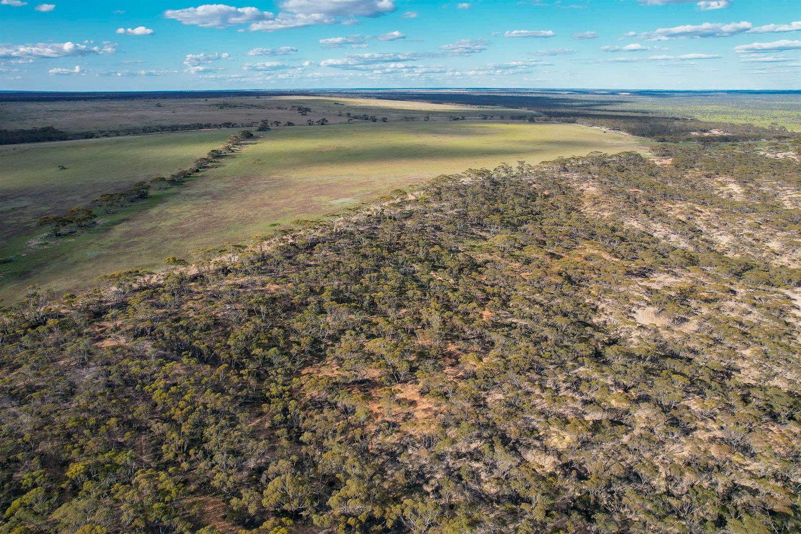 Section 201, 368, 36 Schwertie Road, Black Hill SA 5353 Farm for Sale