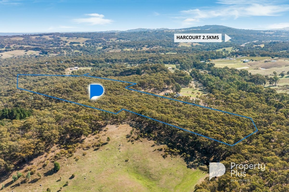86 Riellys Road, Barkers Creek VIC 3451, Image 1