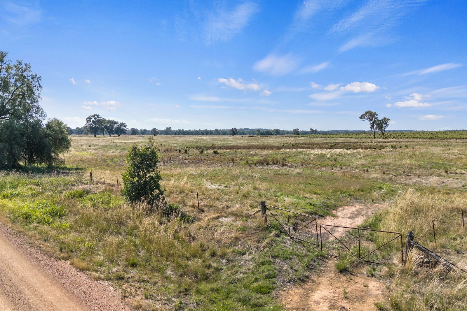 . Plain Road, Cornella VIC 3551, Image 2