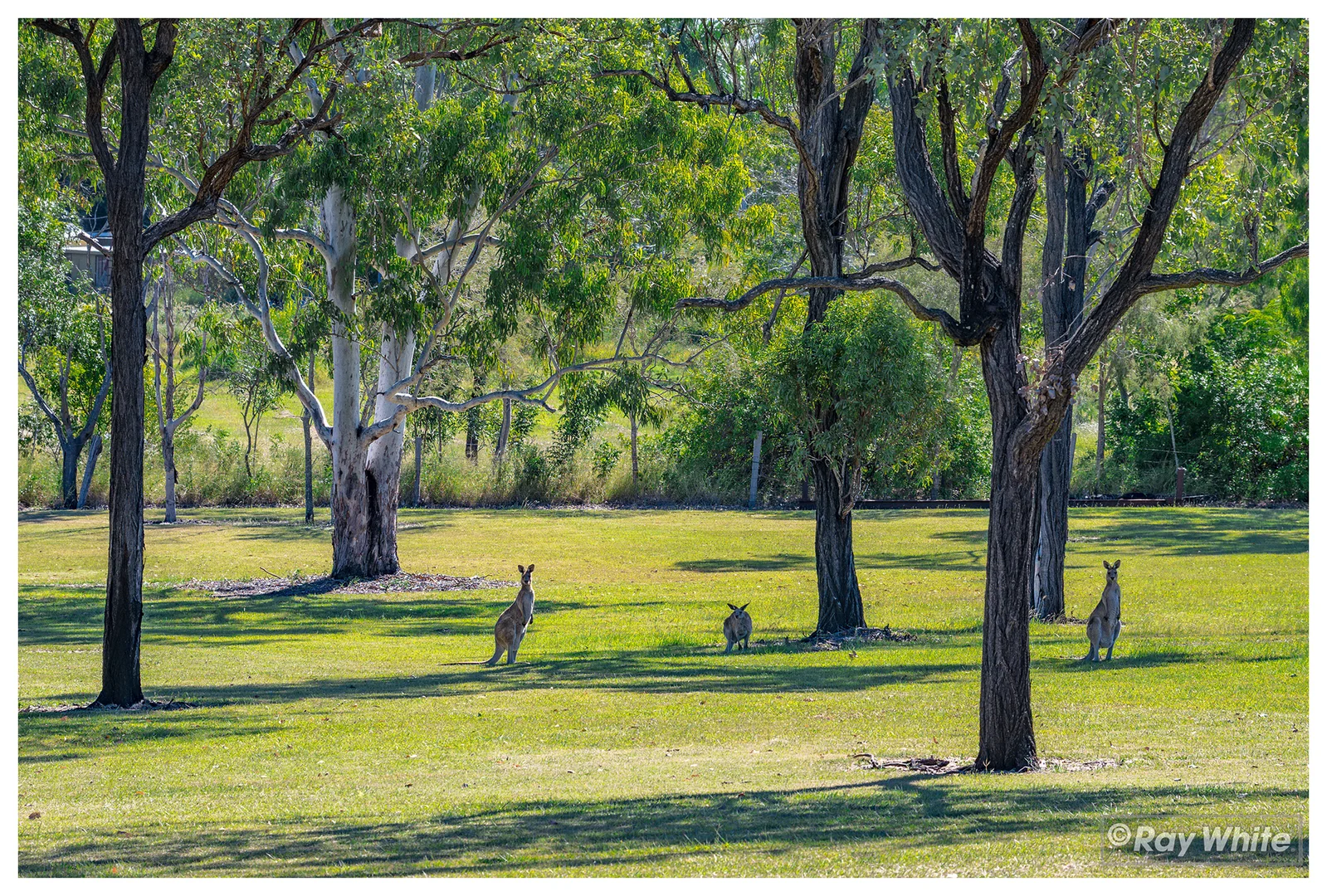 Additional image 45 of 29 Angela Road, Rockyview QLD 4701