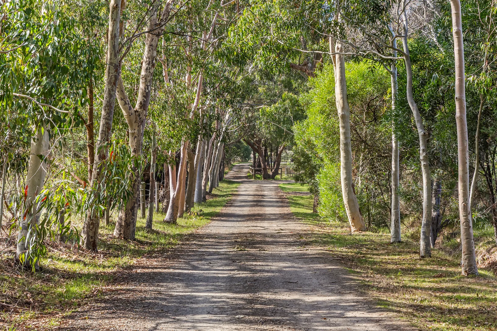 Additional image 4 of 121 Balnarring Road, Balnarring VIC 3926