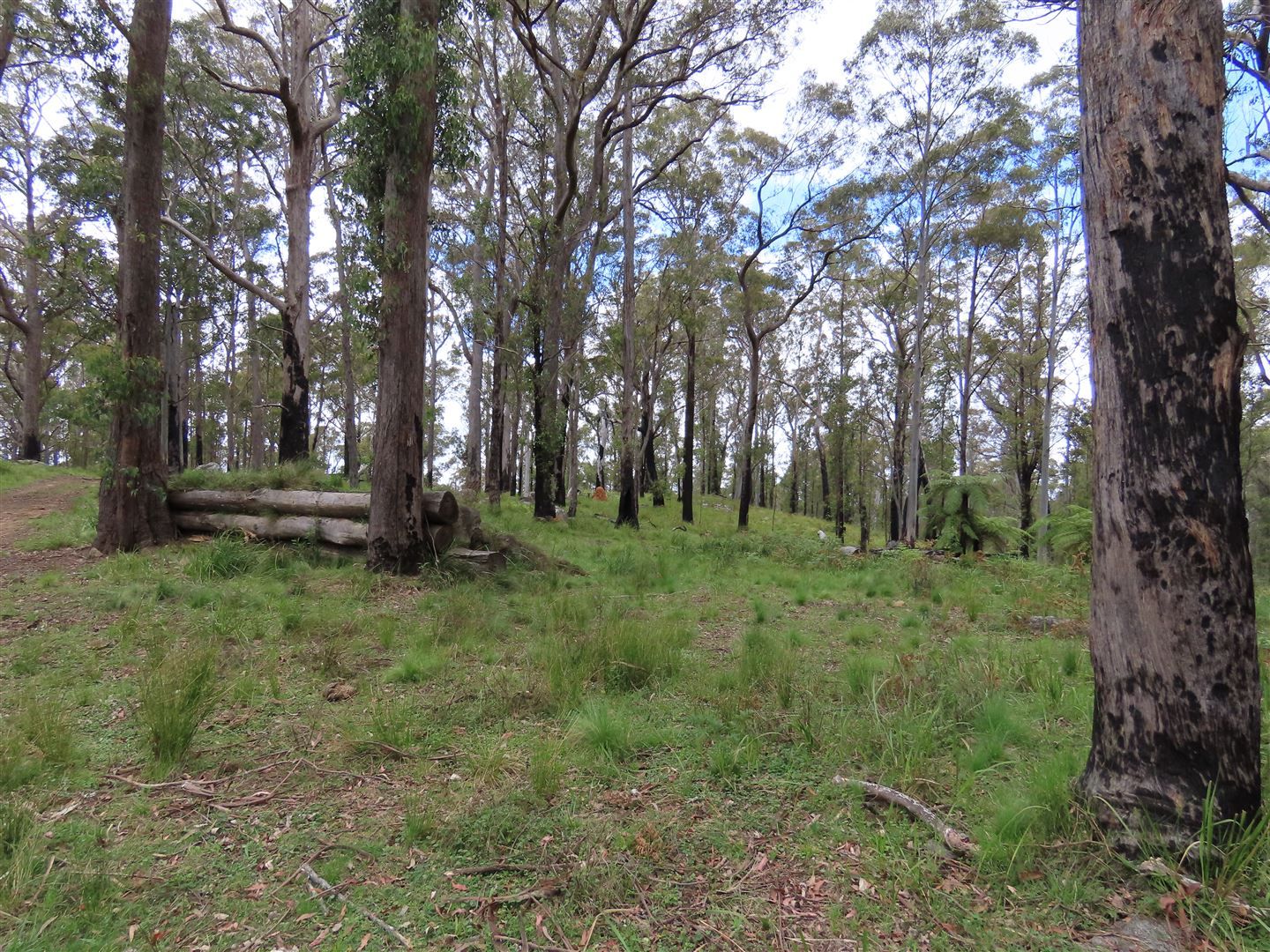'Lands End/1600 Lands End Road, Red Range NSW 2370, Image 1