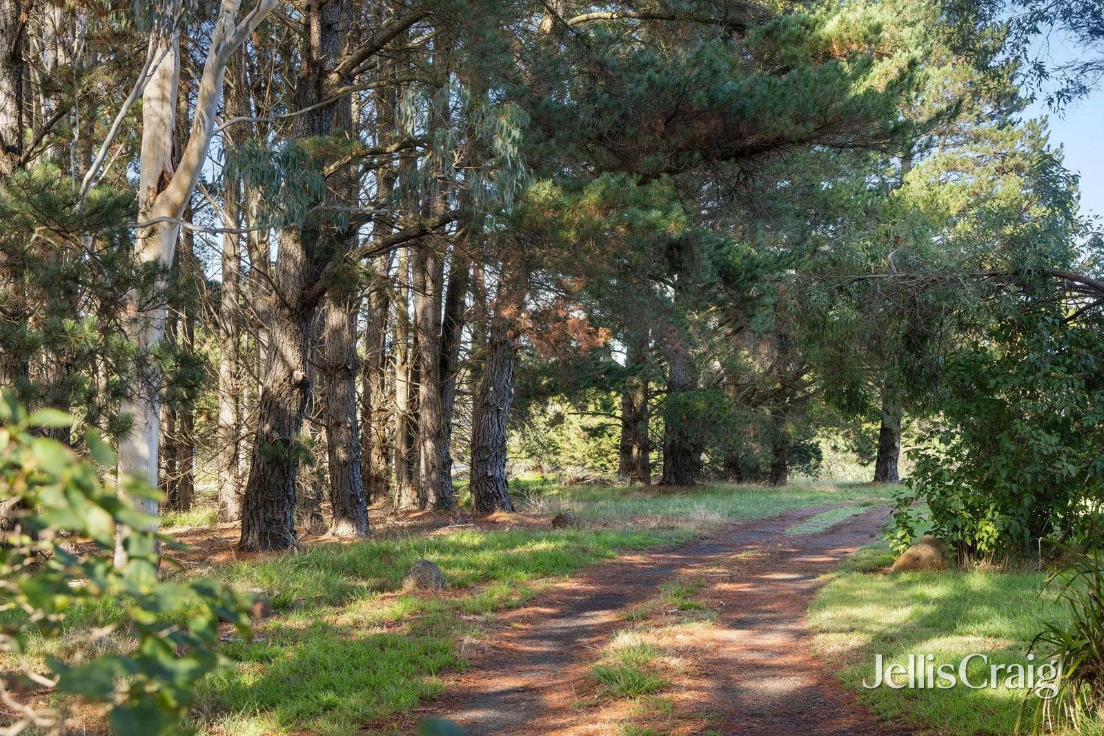 Additional image 13 of 161 Pipers Creek Road, Kyneton VIC 3444