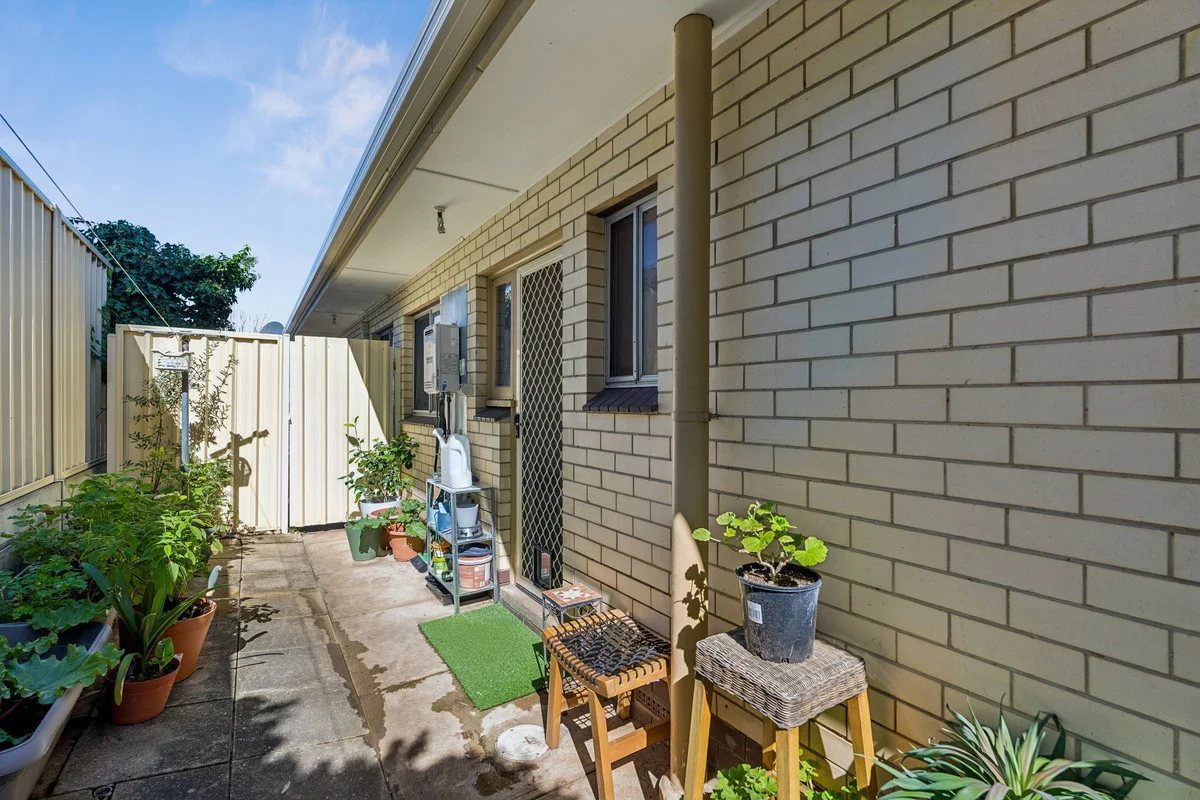 1/1 Whinnen Street, St Agnes SA 5097 - Apartment For Rent | Domain