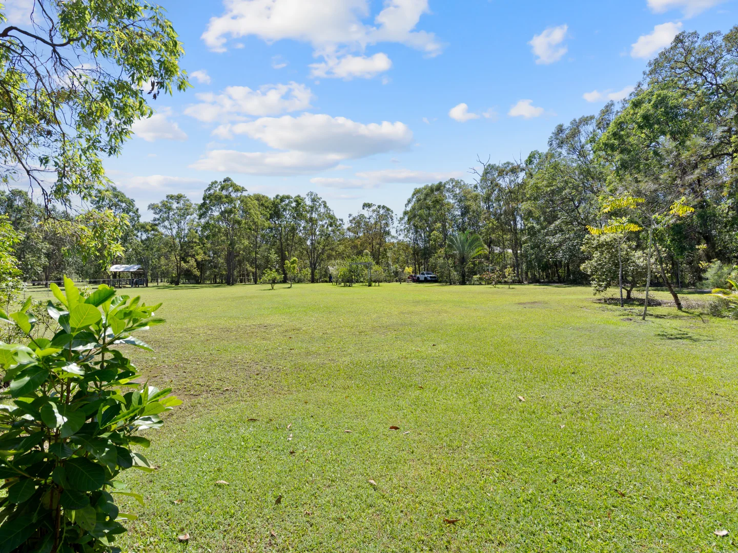 Additional image 32 of 279 Newlands Road, Wamuran QLD 4512