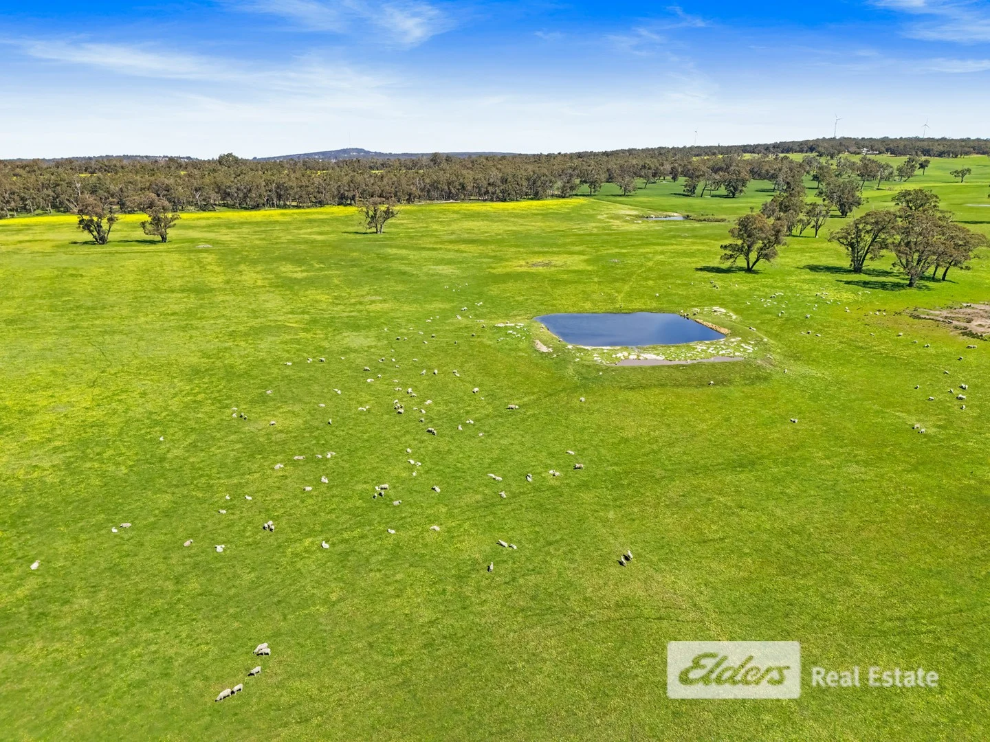 Additional image 14 of 101 Riches Road, Mount Barker WA 6324