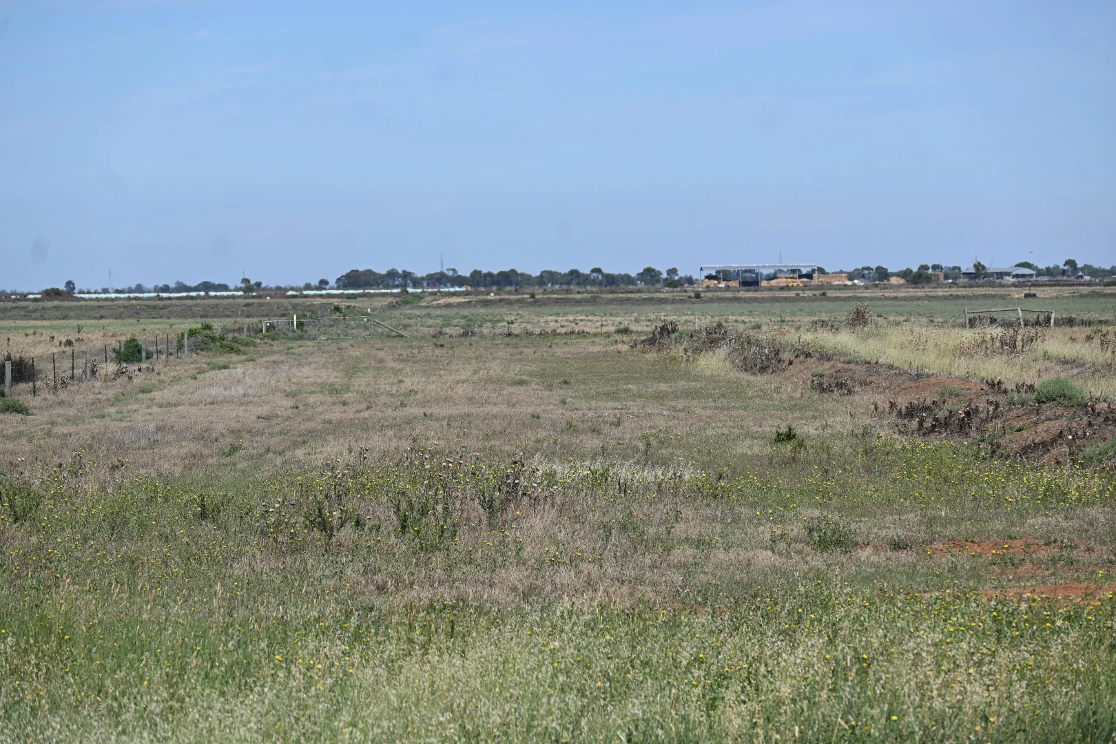 Image 43