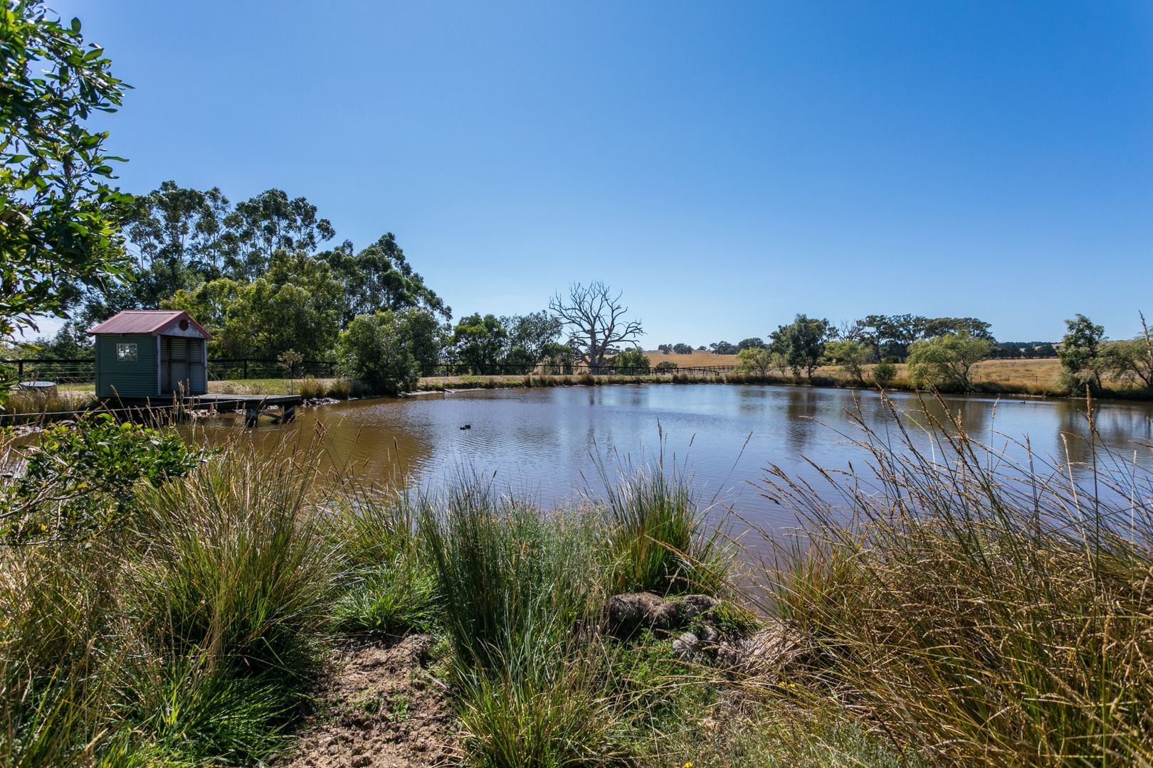 419 Shepherds Hill Road, Lauriston VIC 3444, Image 2