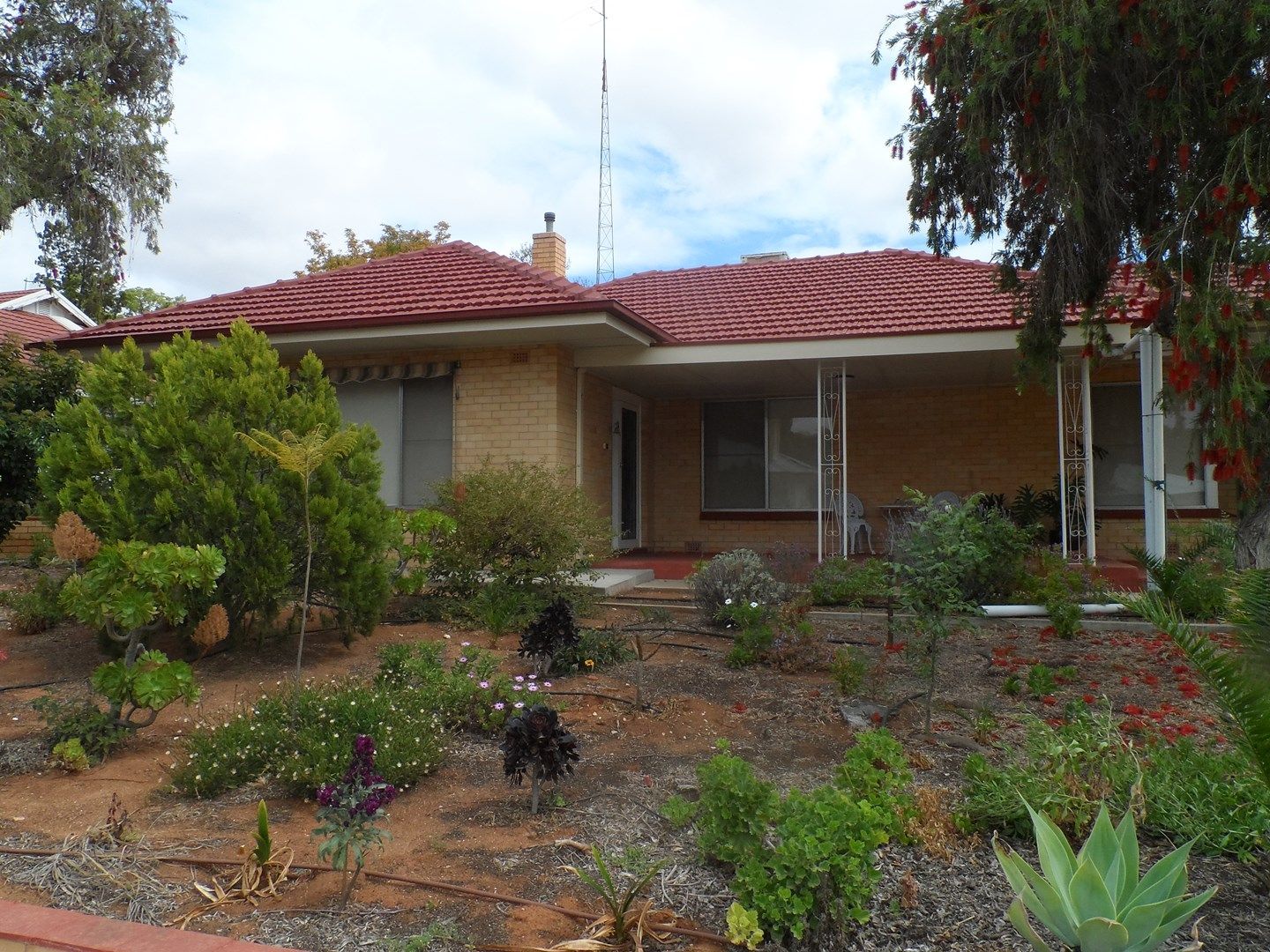 7 McMillan Street, Loxton SA 5333, Image 0