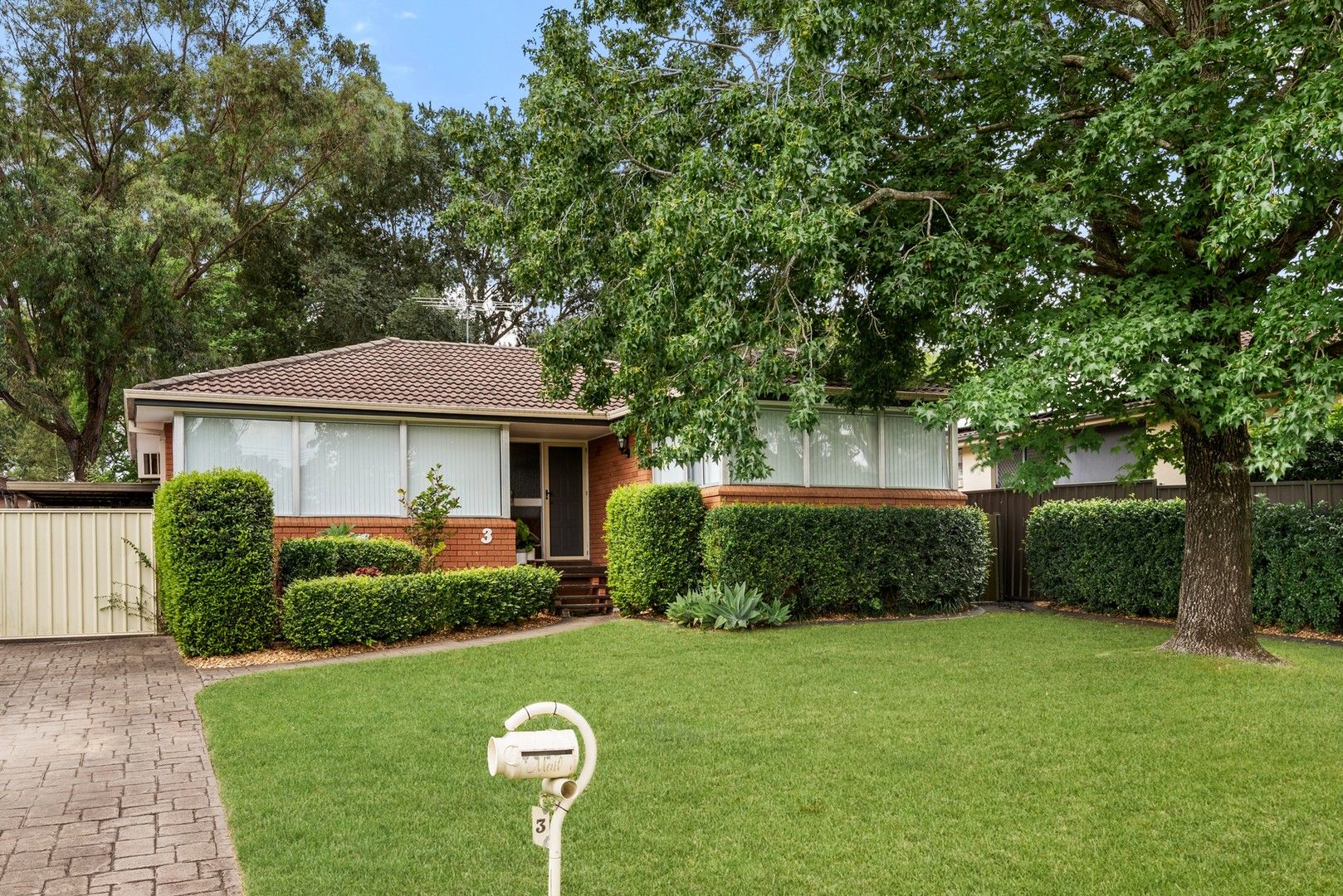 3 Johnson Avenue, Camden South NSW 2570, Image 0