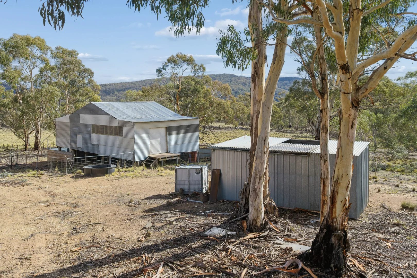 Image 13