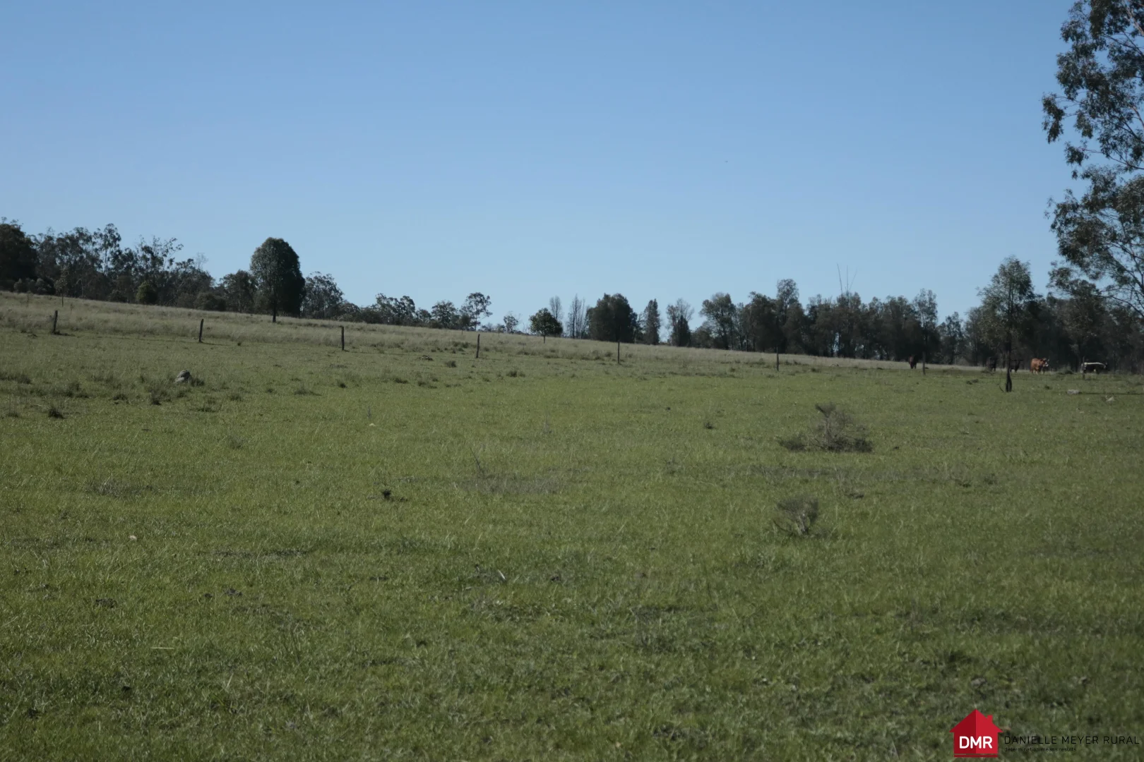 Image 14