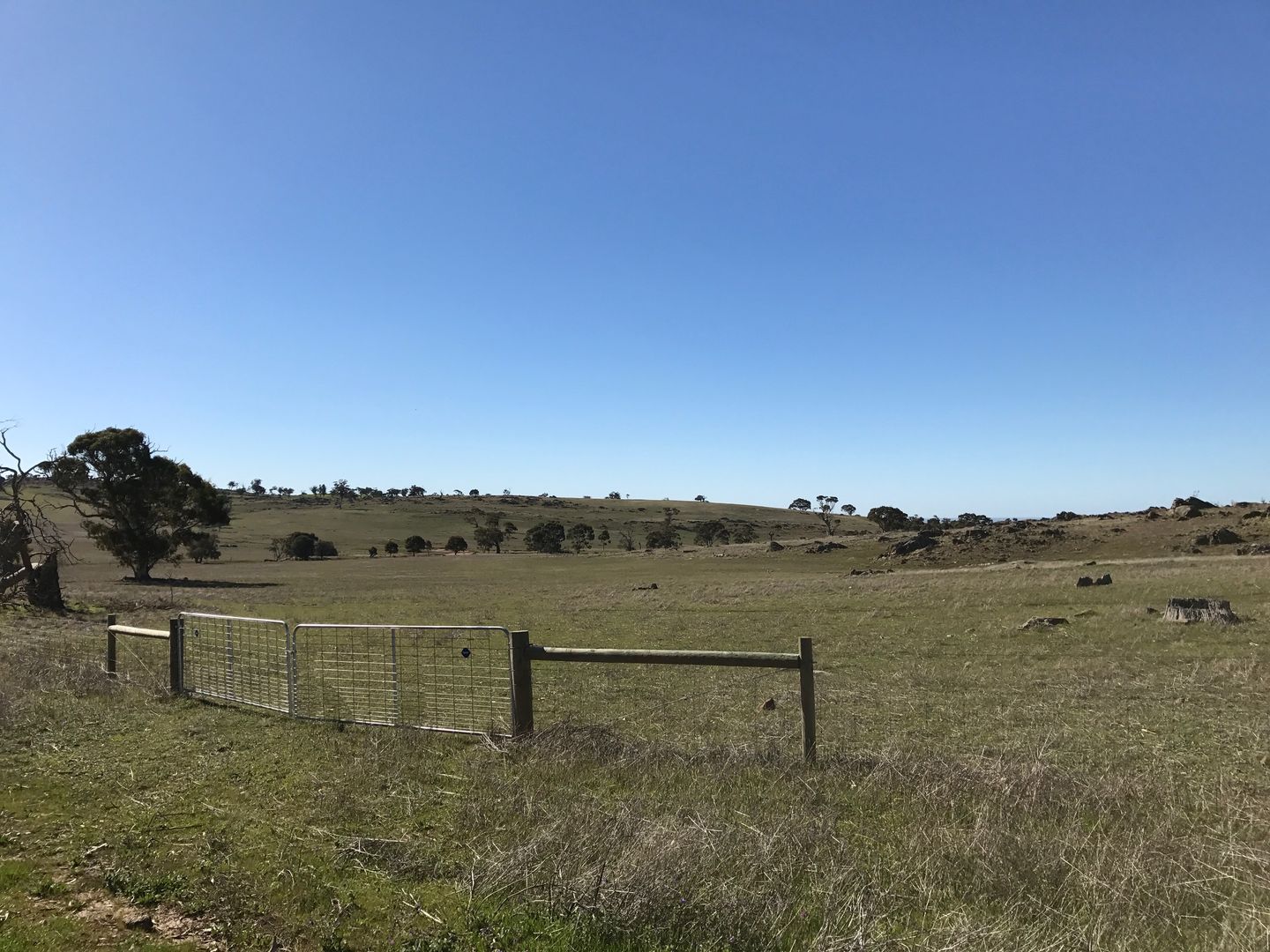 Sec 98 Range Road, Rockleigh SA 5254, Image 2