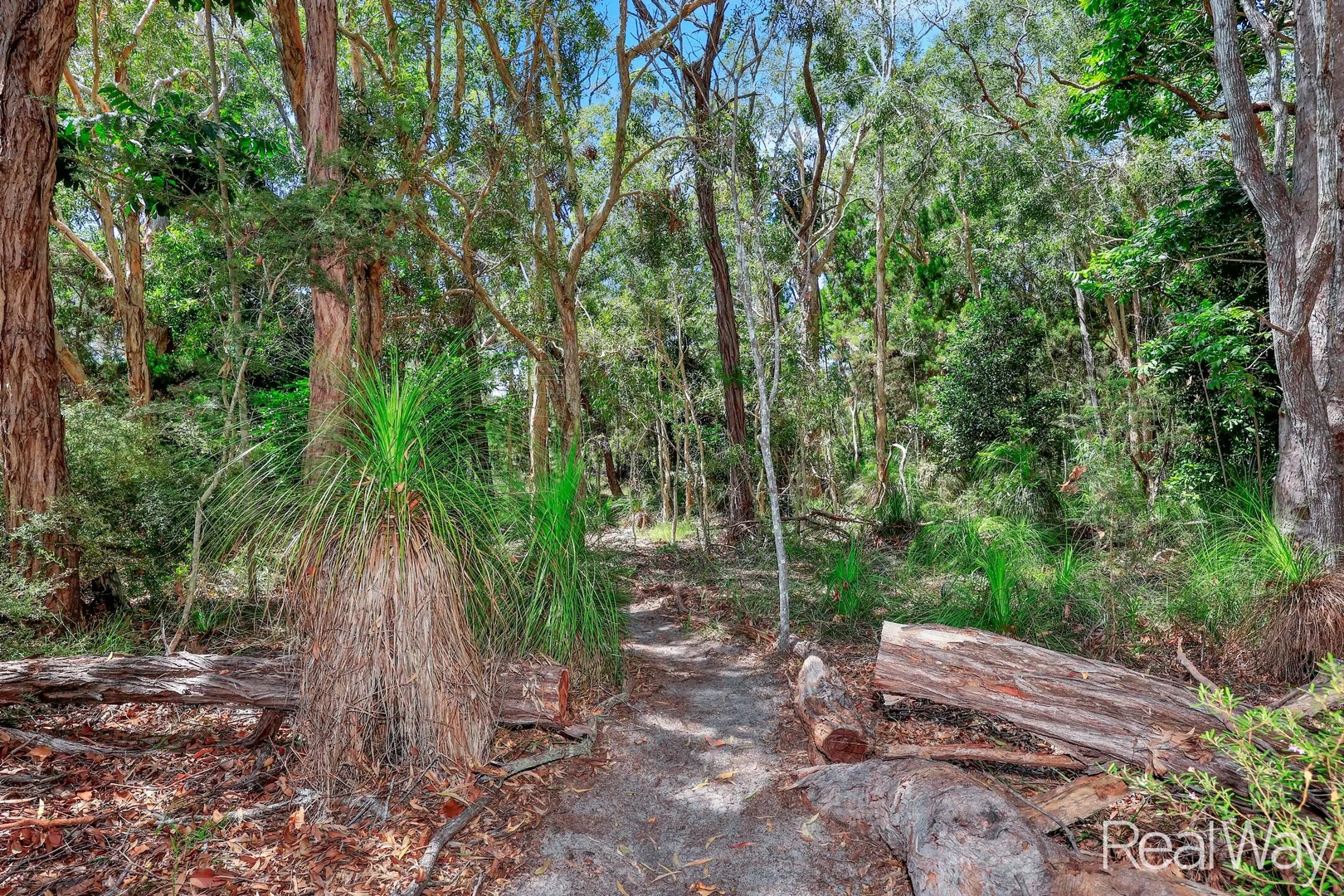 Additional image 27 of 101 Davenport Drive, Coonarr QLD 4670