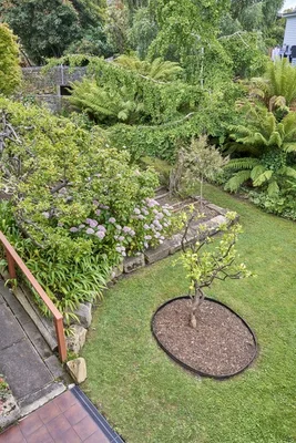 Image 15