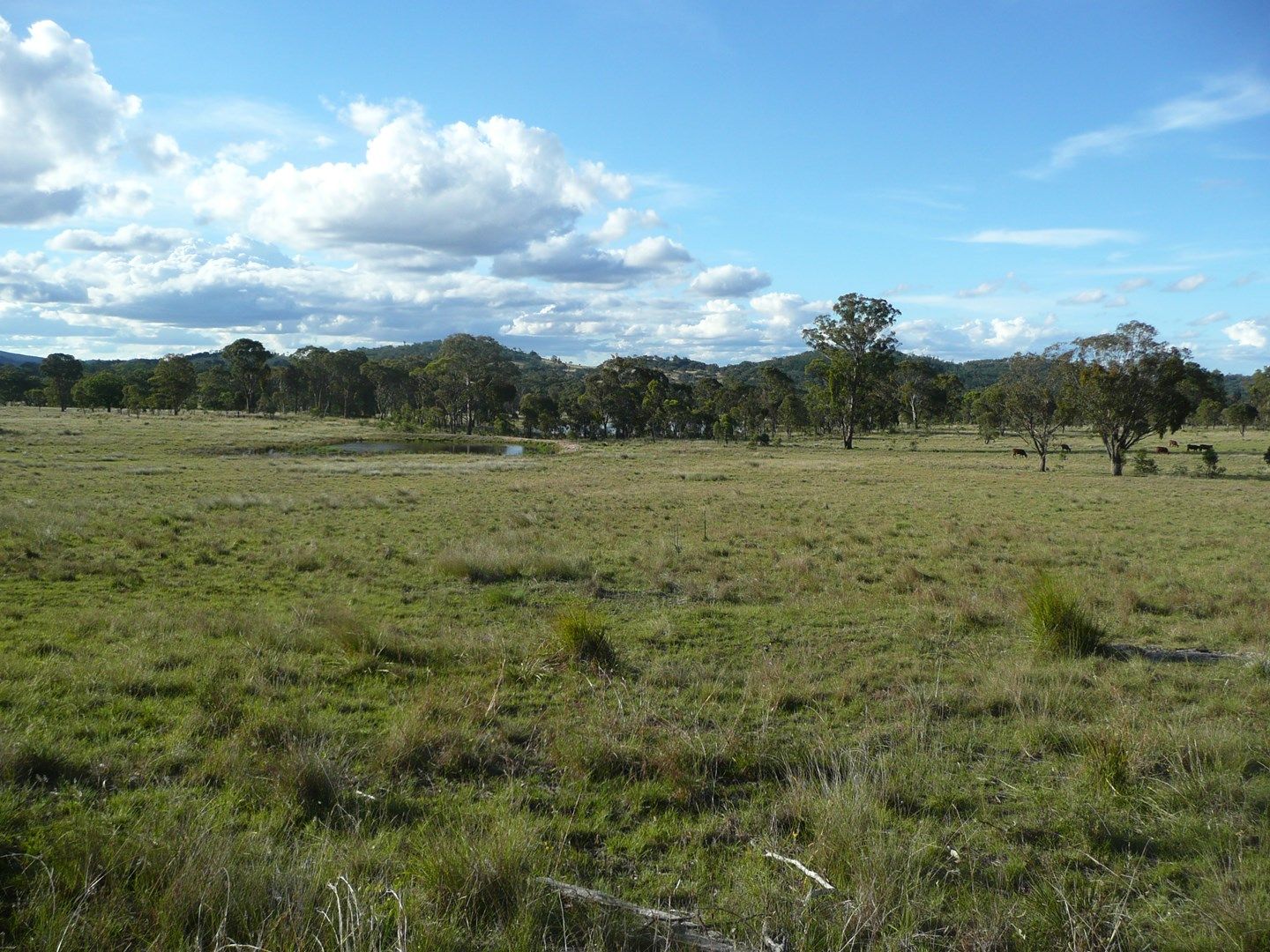 Lot 11 Saxby Road, Ballandean QLD 4382, Image 0