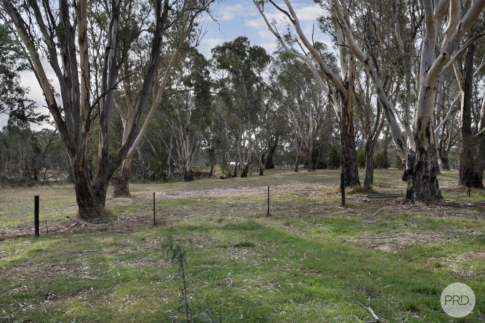 Image 21