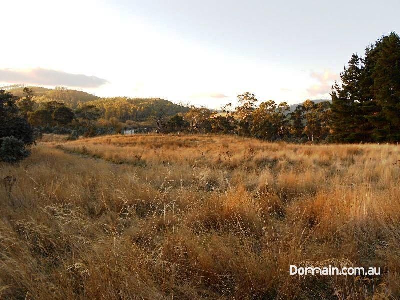 Corner Blessington Road and Ben Lomond Road, UPPER BLESSINGTON TAS 7212, Image 0