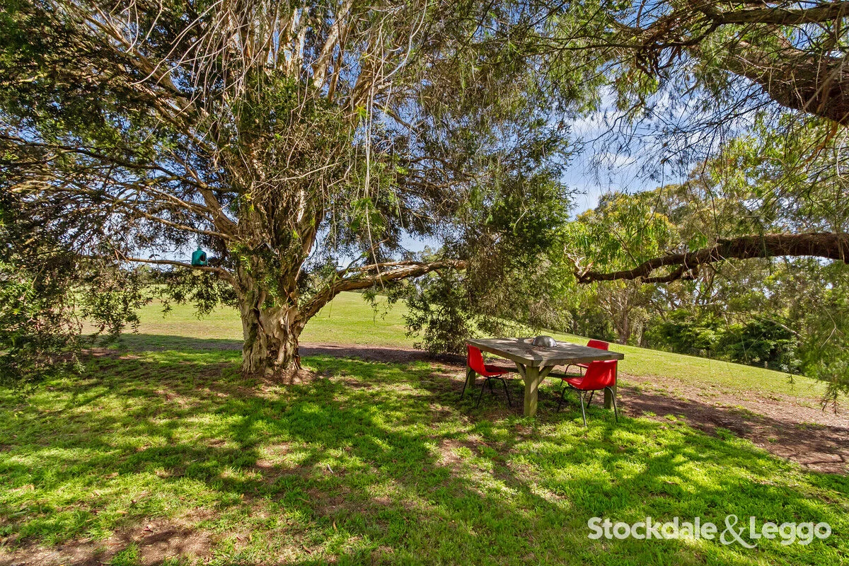 Additional image 18 of 202 Jeeralang West Road, Jeeralang Junction VIC 3840