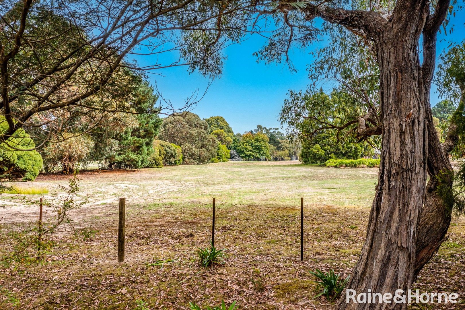 Lot 2/215 Sandy Creek Road, Riddells Creek VIC 3431, Image 0