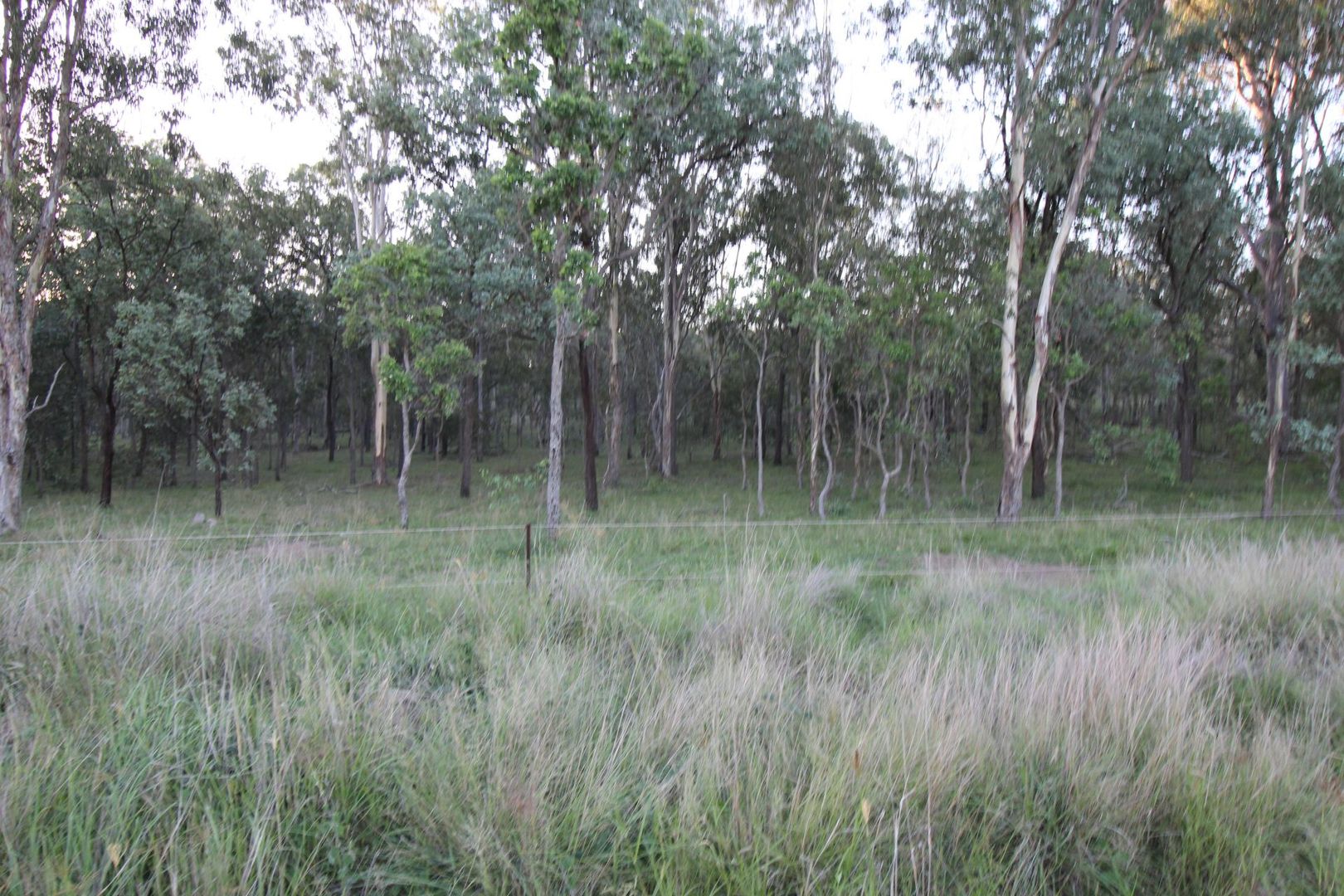 Lot 9 Runnymede Estate Road, Runnymede QLD 4615, Image 2