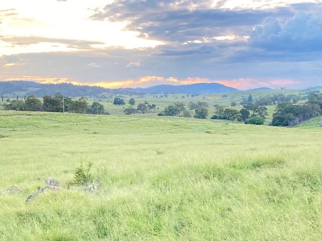 Rural Lifestyle in , TENTERFIELD NSW, 2372