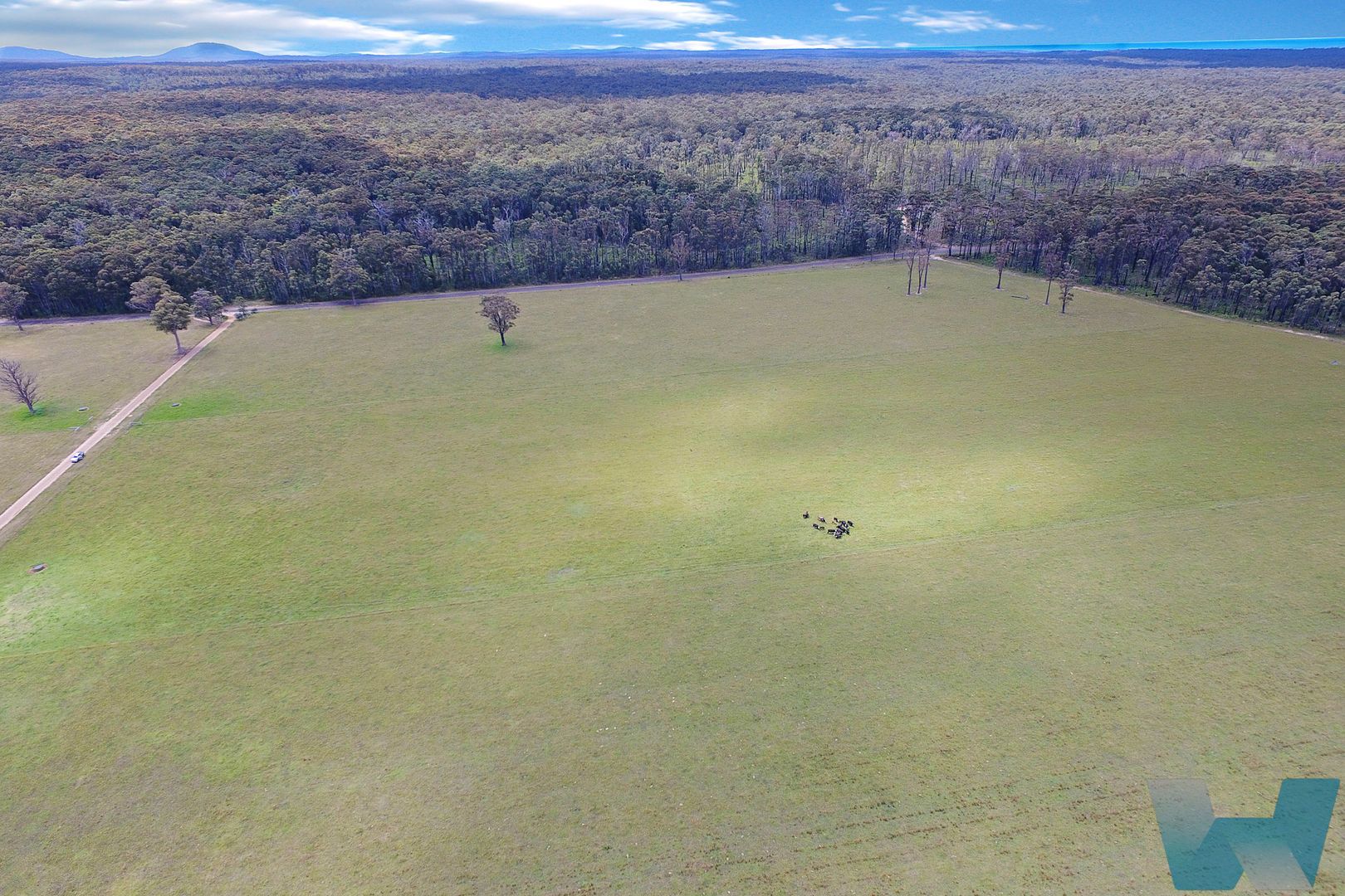 218 Cabbage TreeConran Road, Cabbage Tree VIC 3364 House for Sale