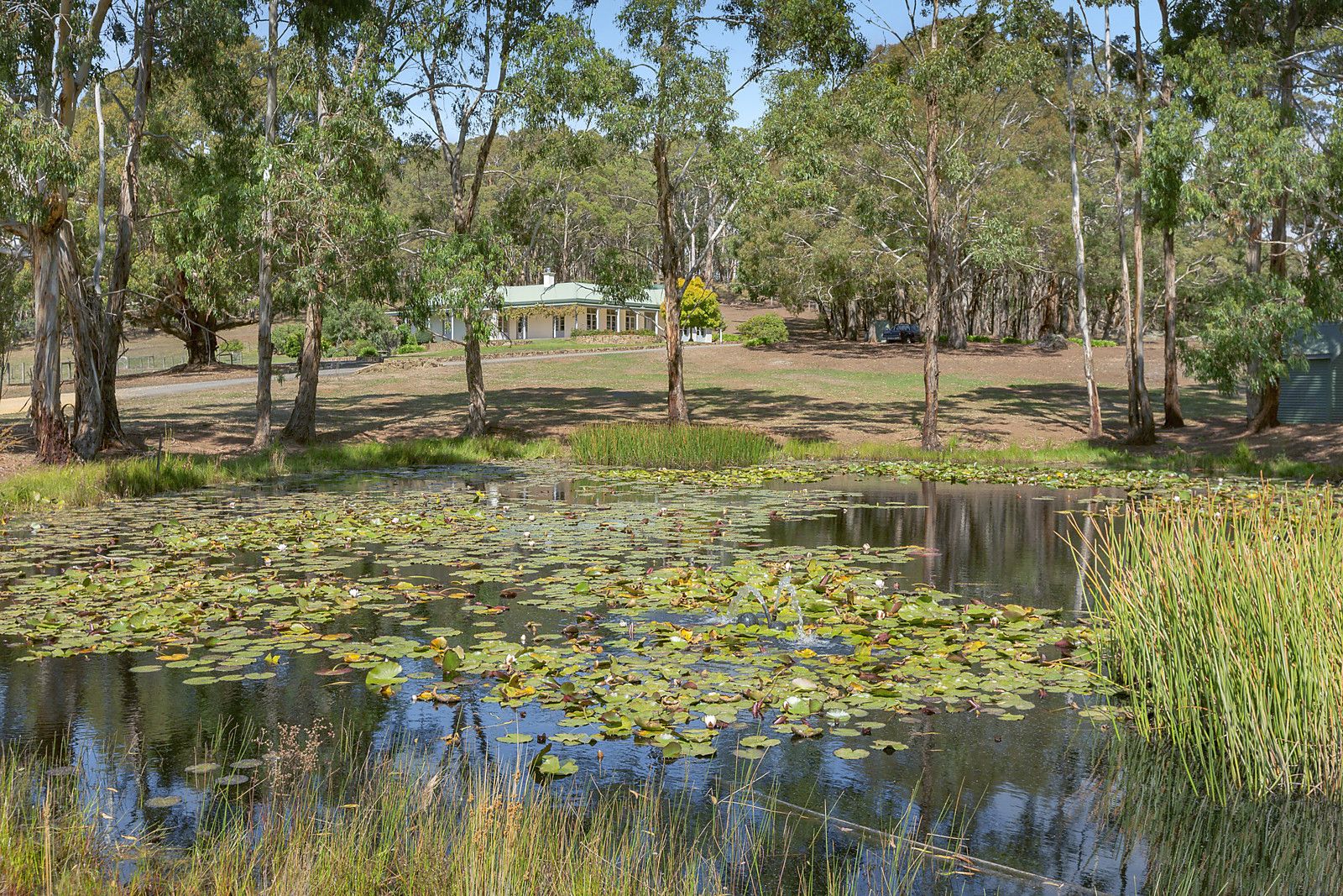 610 Springhill Road, Spring Hill VIC 3444, Image 1
