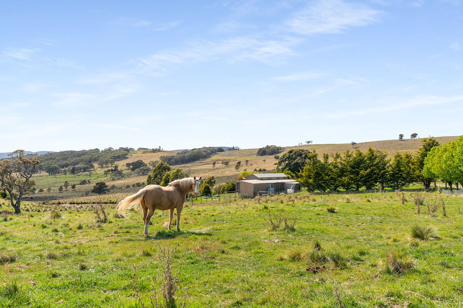 3 bedrooms Acreage / Semi-Rural in 123 Fisher Road GOULBURN NSW, 2580