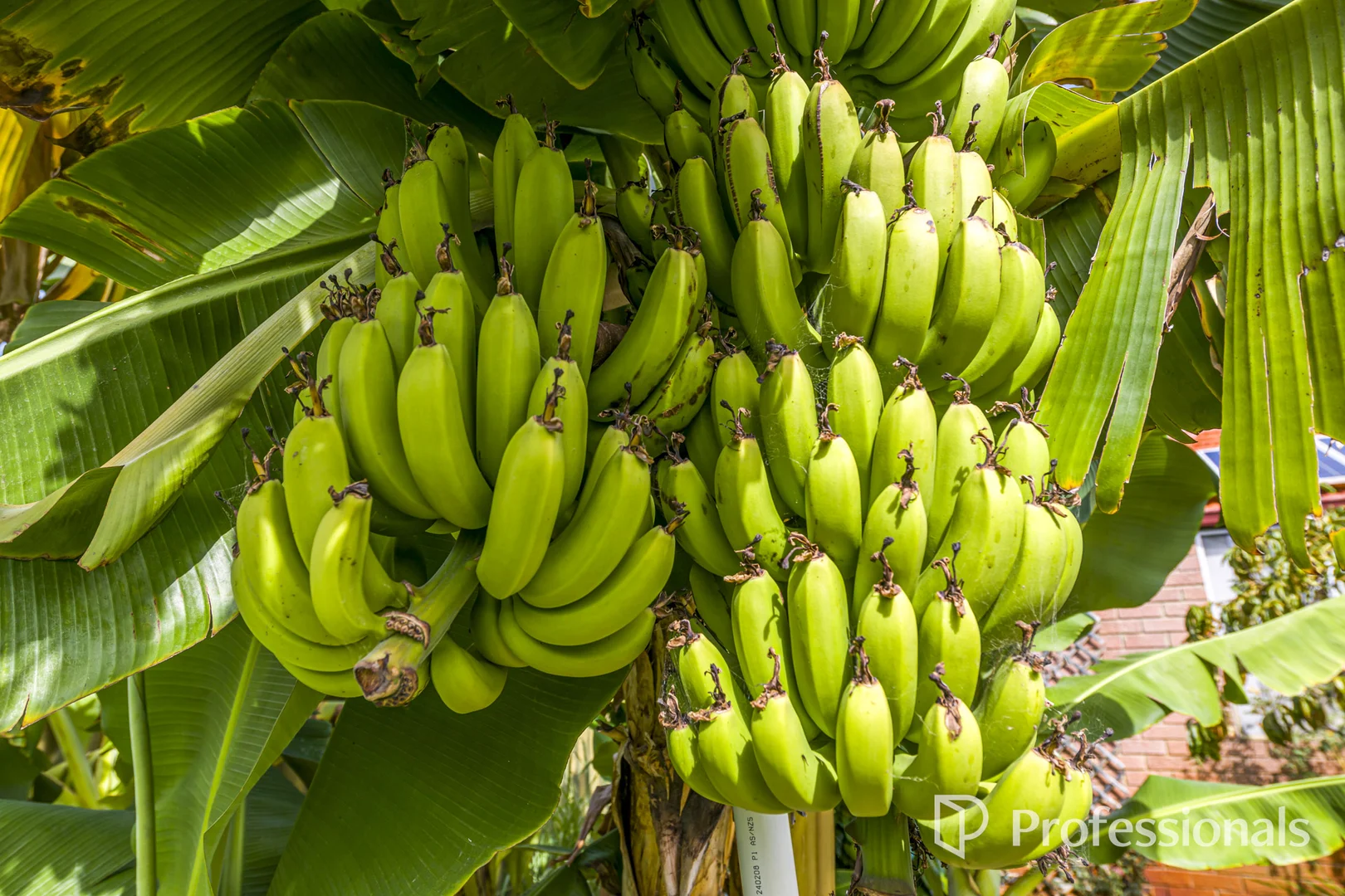 Additional image 34 of 80 Rosher Road, Lockridge WA 6054