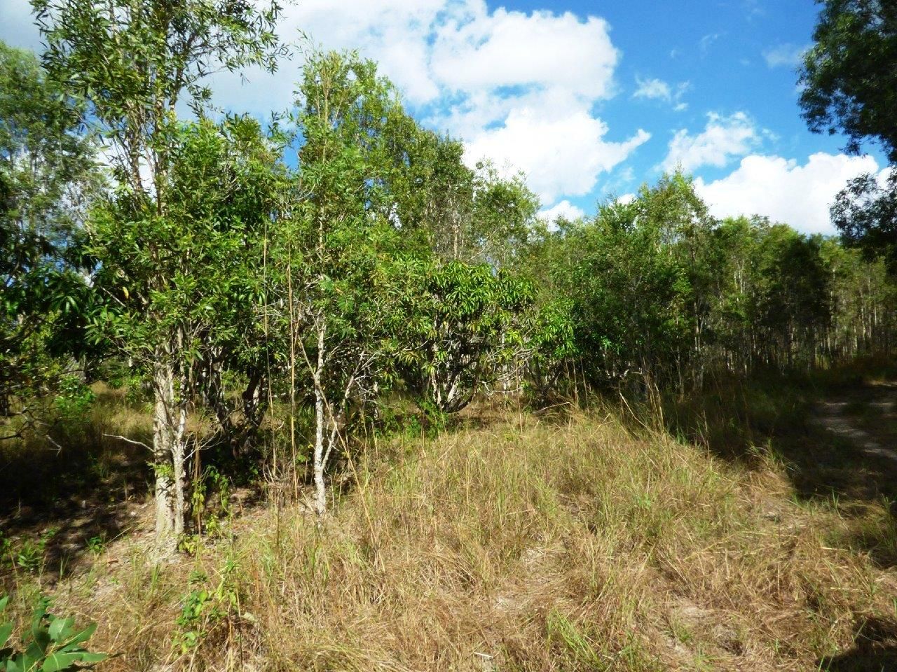 100 Weaver Road, Noonamah NT 0837, Image 1