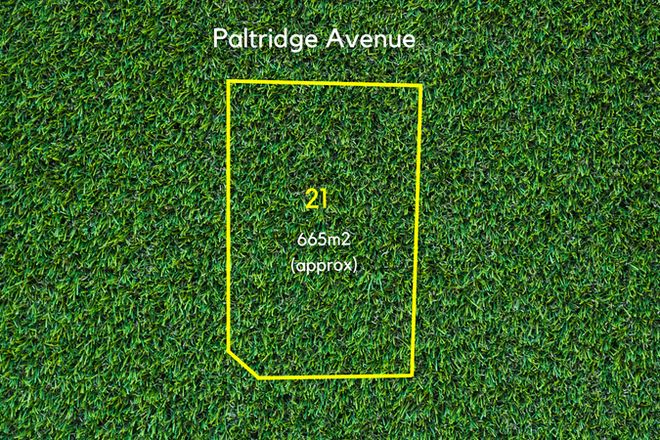 Picture of 21 Paltridge Avenue, STIRLING NORTH SA 5710