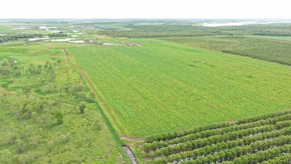 Additional image 10 of 3 Comiskey Road, Giru QLD 4809