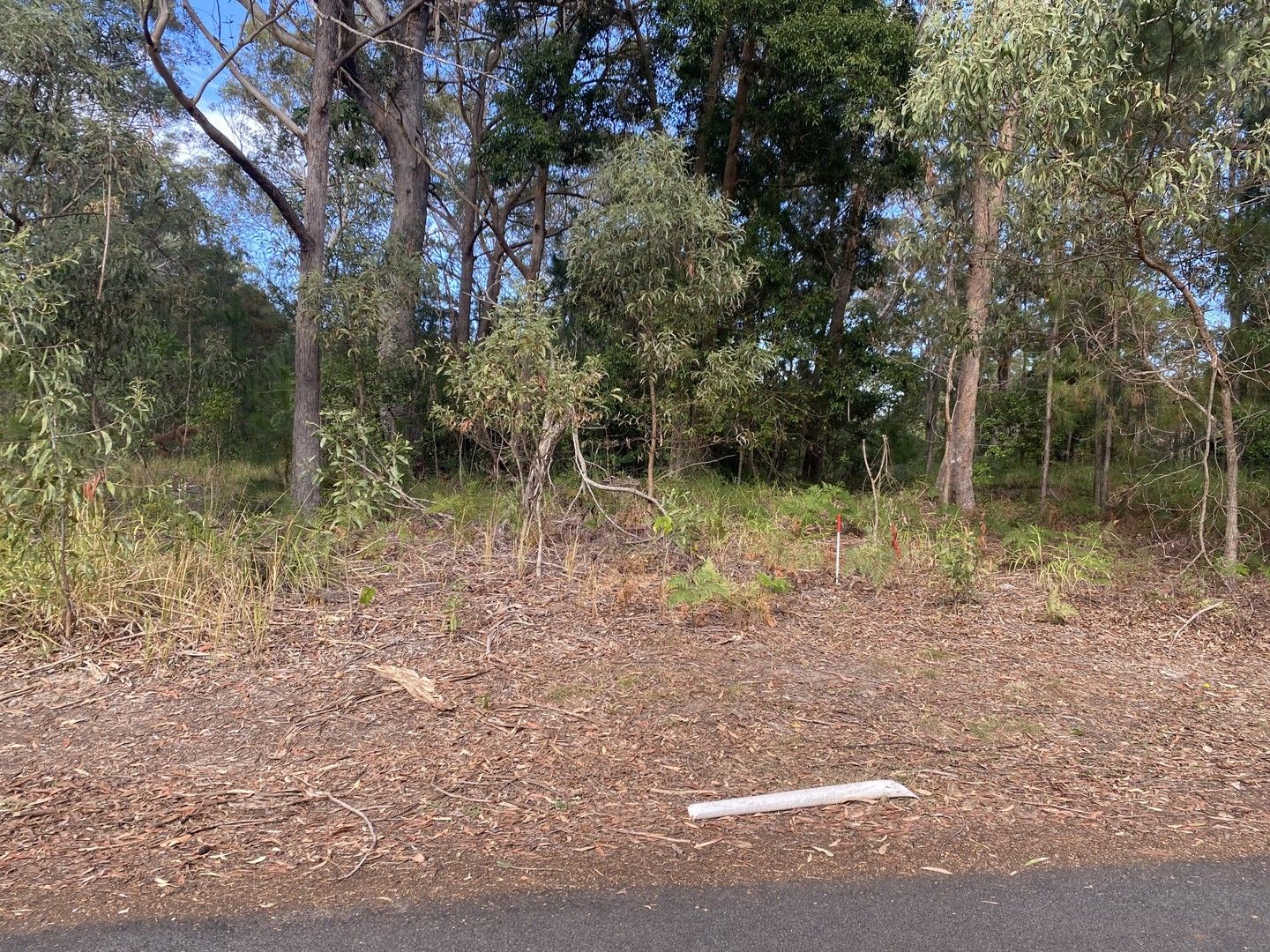 Vacant land in 4 Fernbrook Ave, RUSSELL ISLAND QLD, 4184
