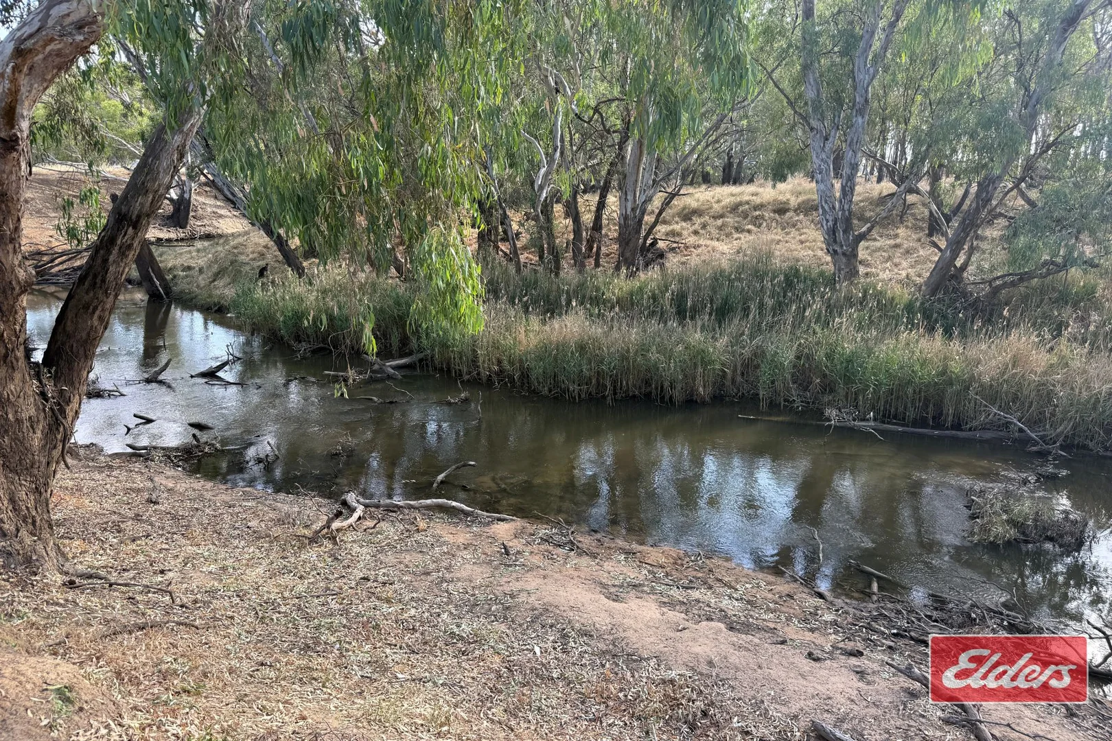 Image 21
