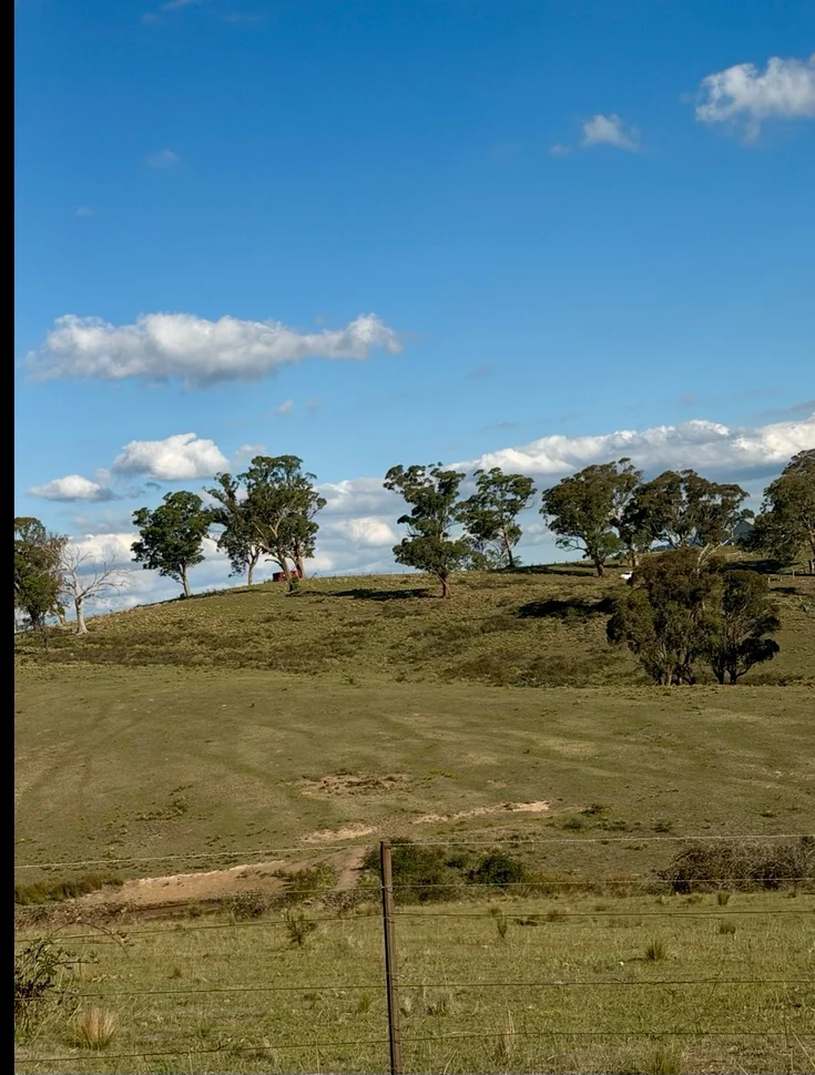 Additional image 5 of 1175 Razorback Road, Mudgee NSW 2850