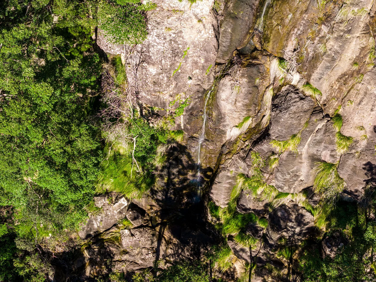 Image 28