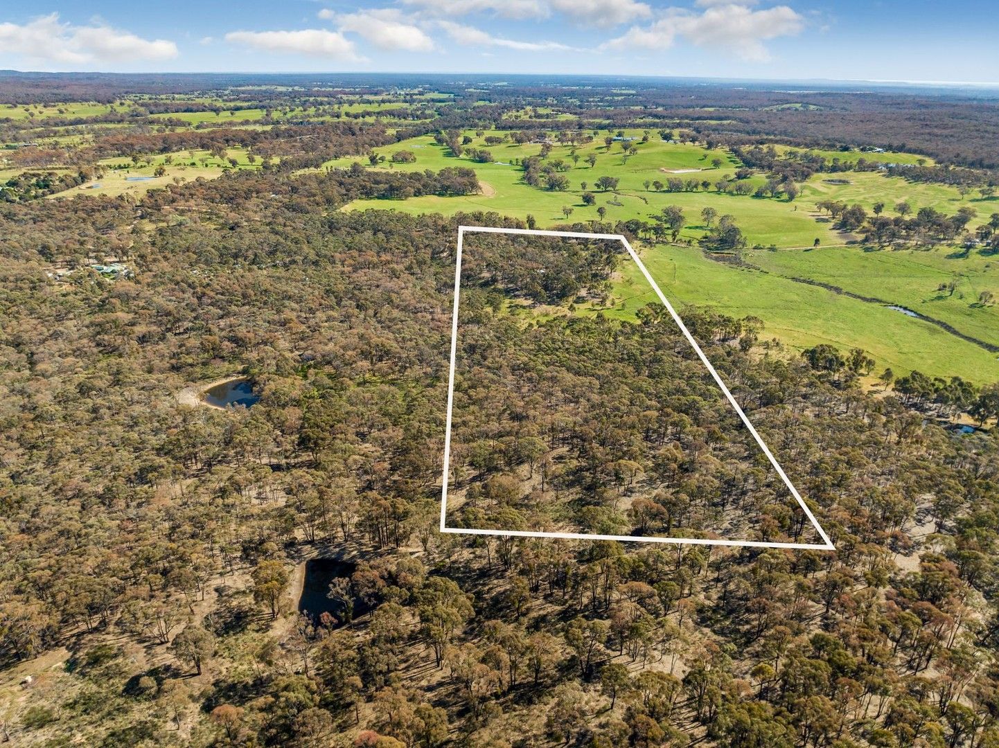 Lot 6 Steens Road, Axe Creek VIC 3551, Image 1