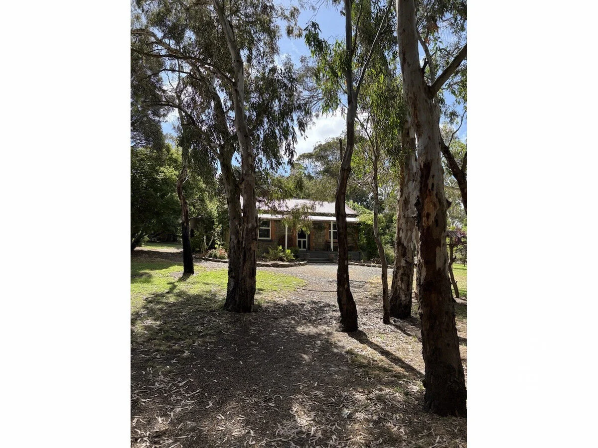 Image 35