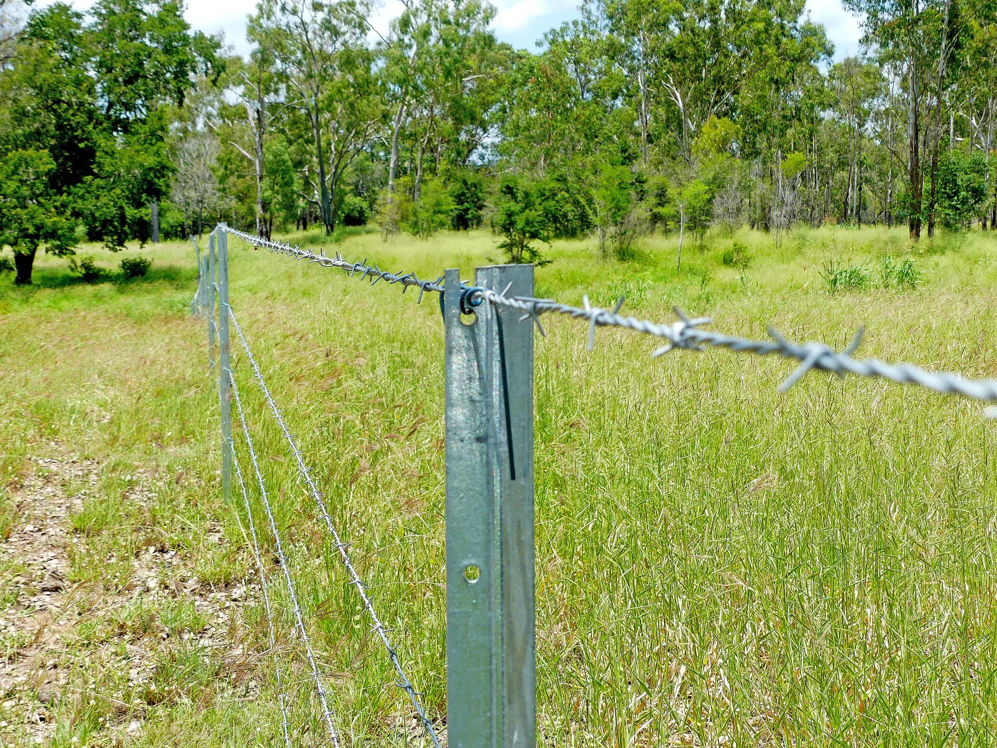 Image 17