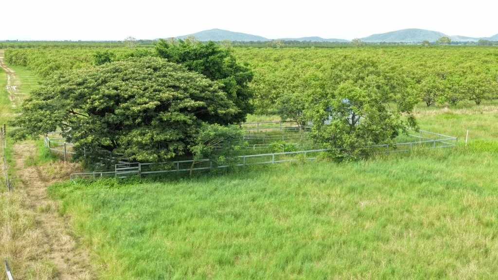 Additional image 20 of 3 Comiskey Road, Giru QLD 4809