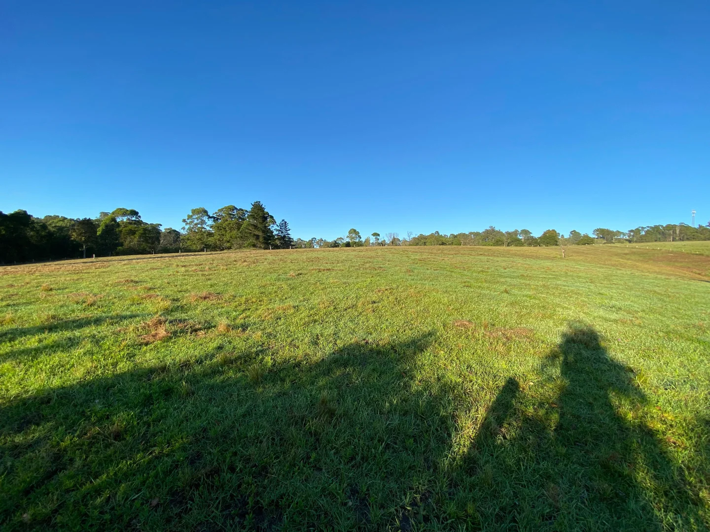 Additional image 9 of 94 Israels Road, Verona NSW 2550