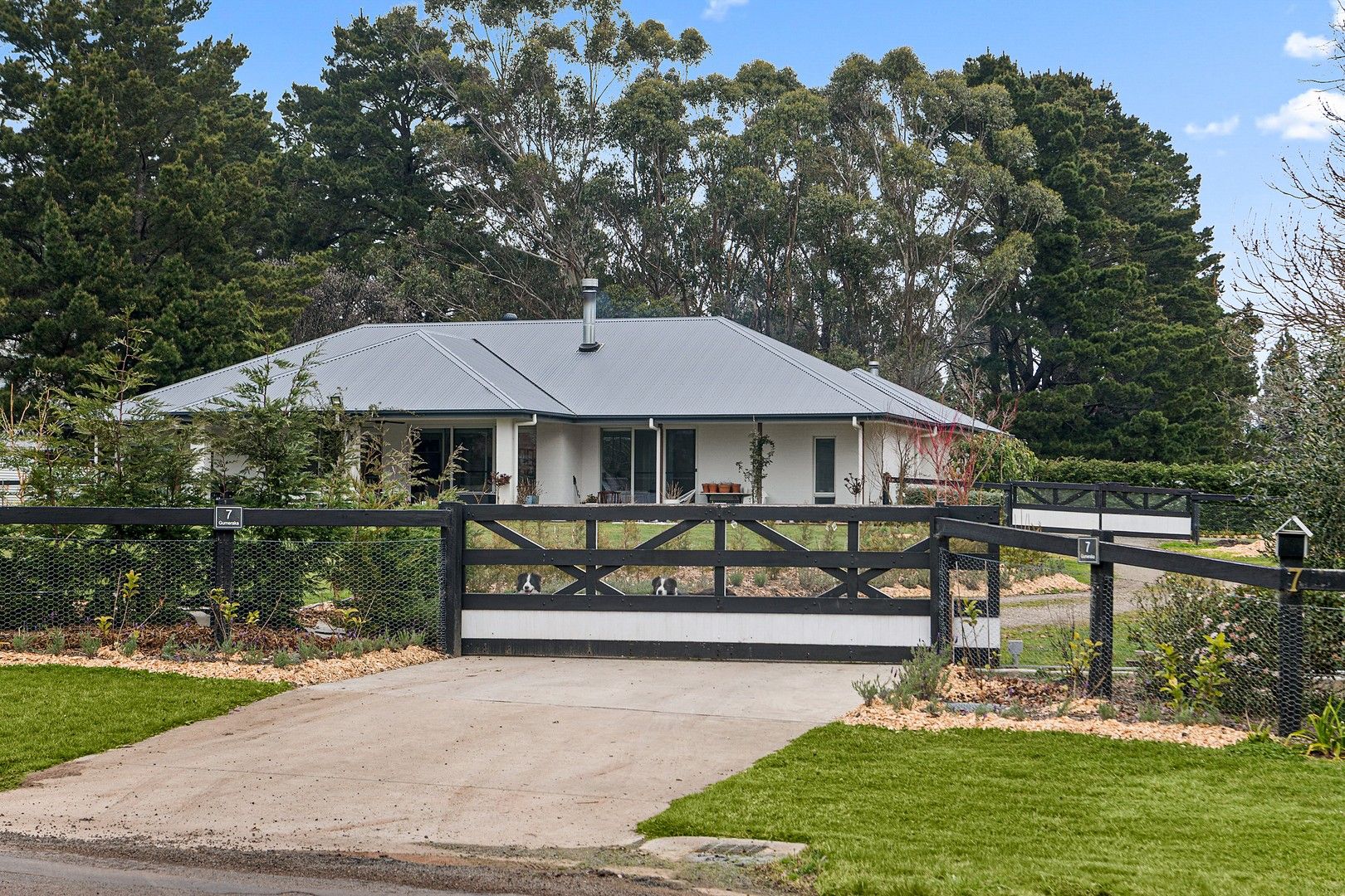 7 Golden Vale Road, Sutton Forest NSW 2577 House For Rent Domain