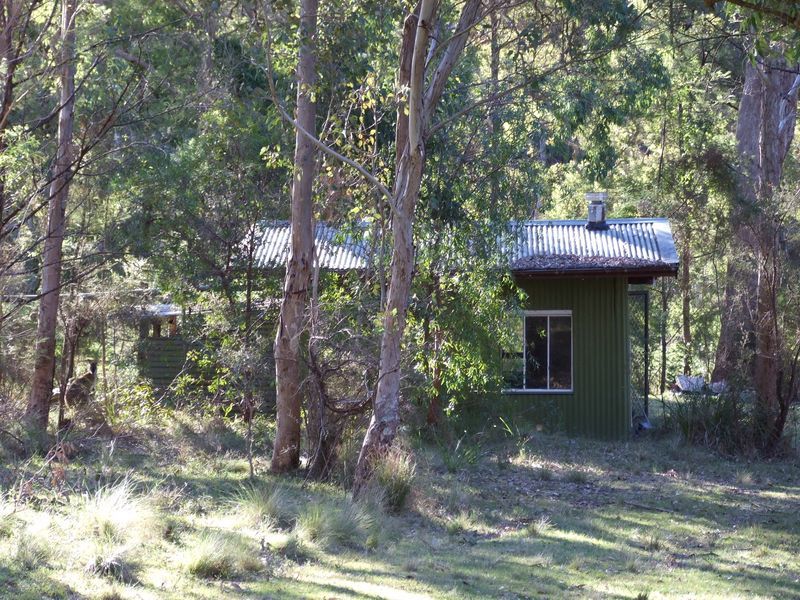 Lot 13 Dorrigo Road, BROGO NSW 2550, Image 1