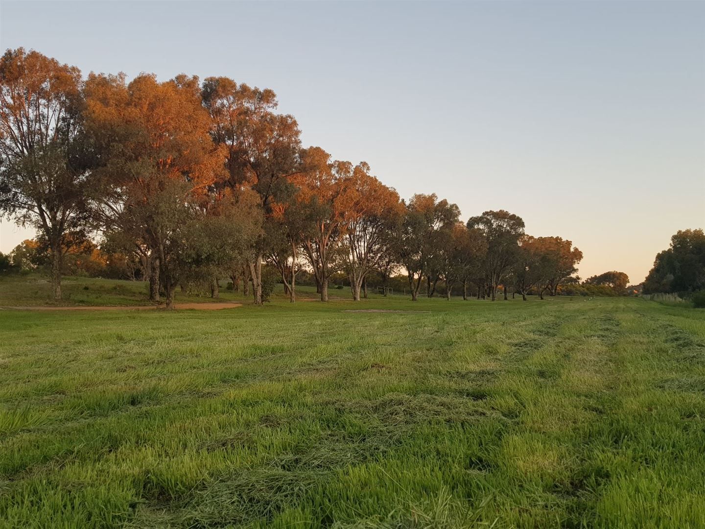 100 Acacia Road, Springfiel | Property History & Address Research | Domain