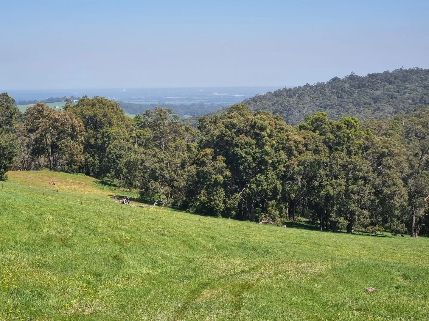 Image 8