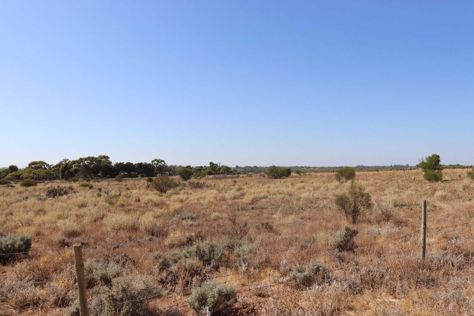 Lot 2 Hunt Road, Barmera SA 5345, Image 2