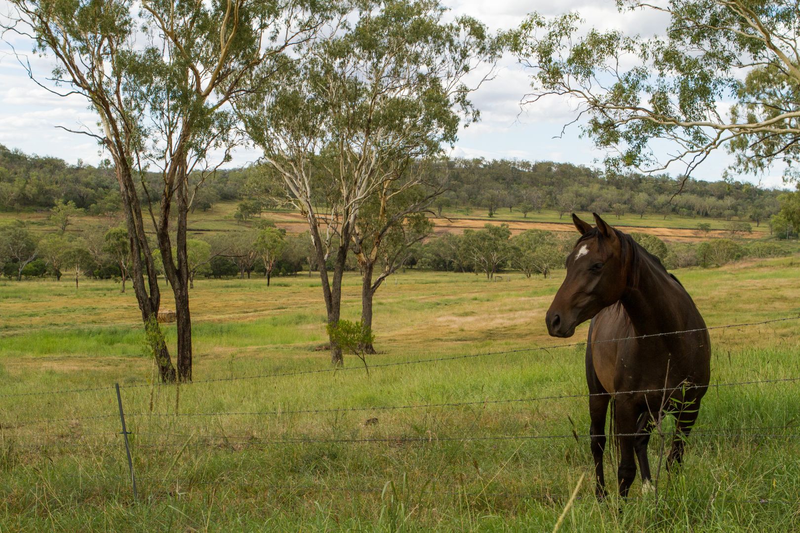 118 Banks Road, Felton QLD 4358, Image 2