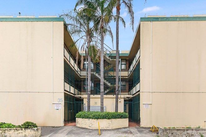 80 1 Bedroom Apartments For Sale In Burwood Nsw 2134 Domain