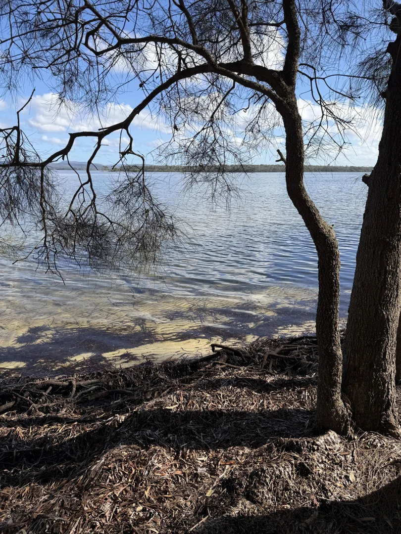 Image 11